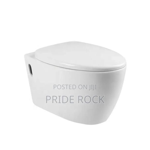 Conceal Wc , Wall Hang Wc With Seat Cover and Tank photo 2