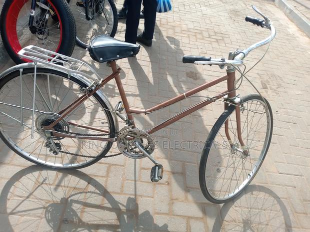 Powerful Buzanga Bicycle(Brown/Grey)