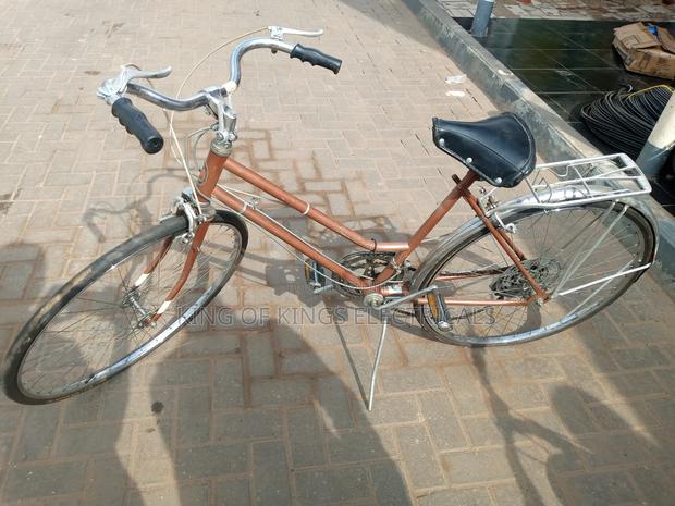 Powerful Buzanga Bicycle(Brown/Grey) photo 2