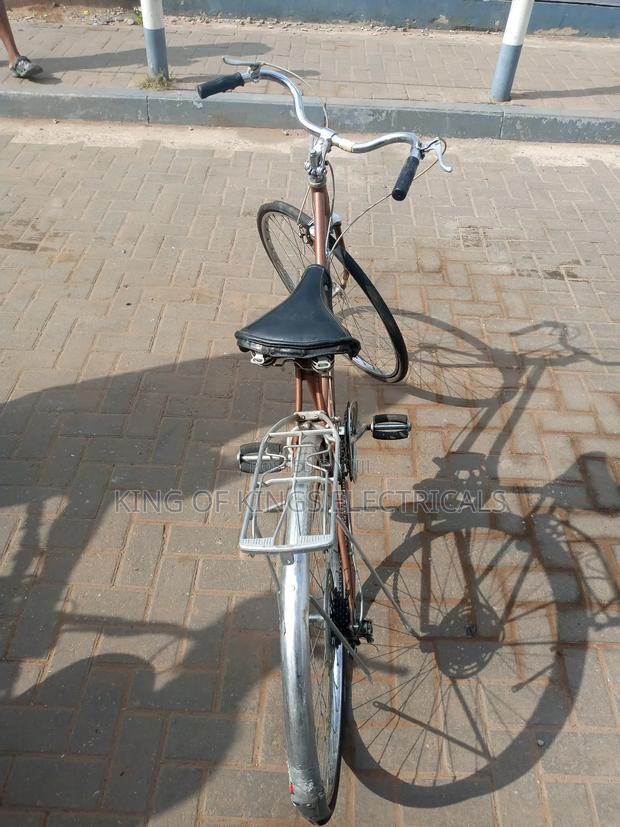Powerful Buzanga Bicycle(Brown/Grey) photo 3