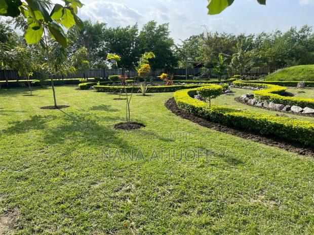 Lands for Sale at Akuse(Akosombo) · Photo 4