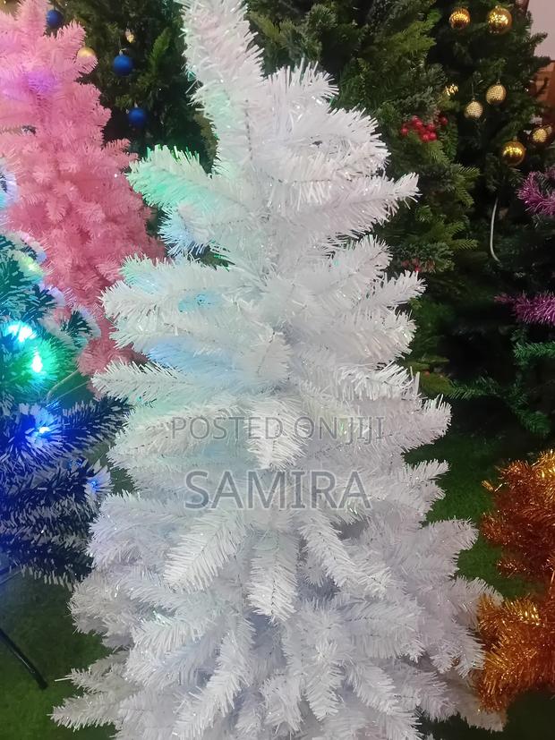 Beautiful Christmas Trees –Different Sizes Available photo 4