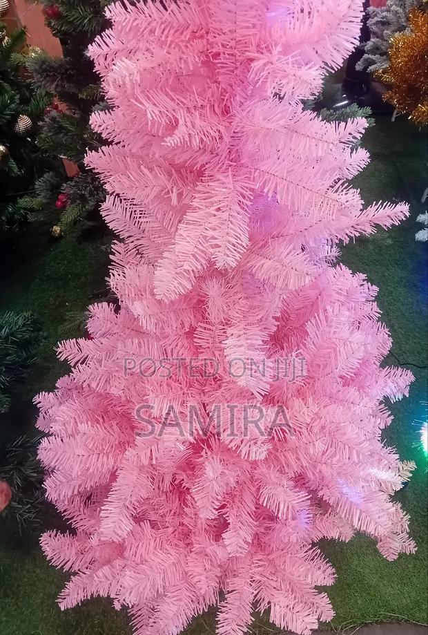 Beautiful Christmas Trees –Different Sizes Available photo 5