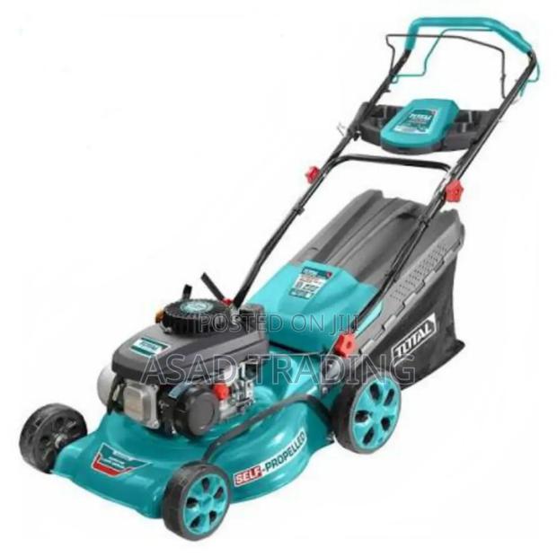 Gasoline Lawn Mower 4.8hp Ingco 20" (Glm196202