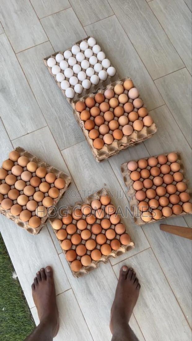 Fresh Eggs–Large, Medium Jumbo Available With Free Delivery in Accra