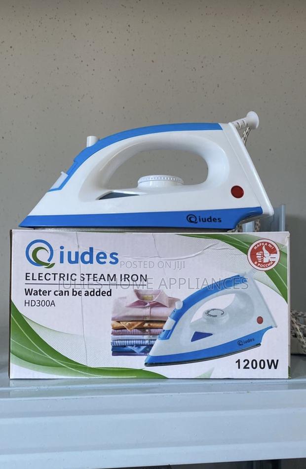 Electric Steam Iron 1200 Watts