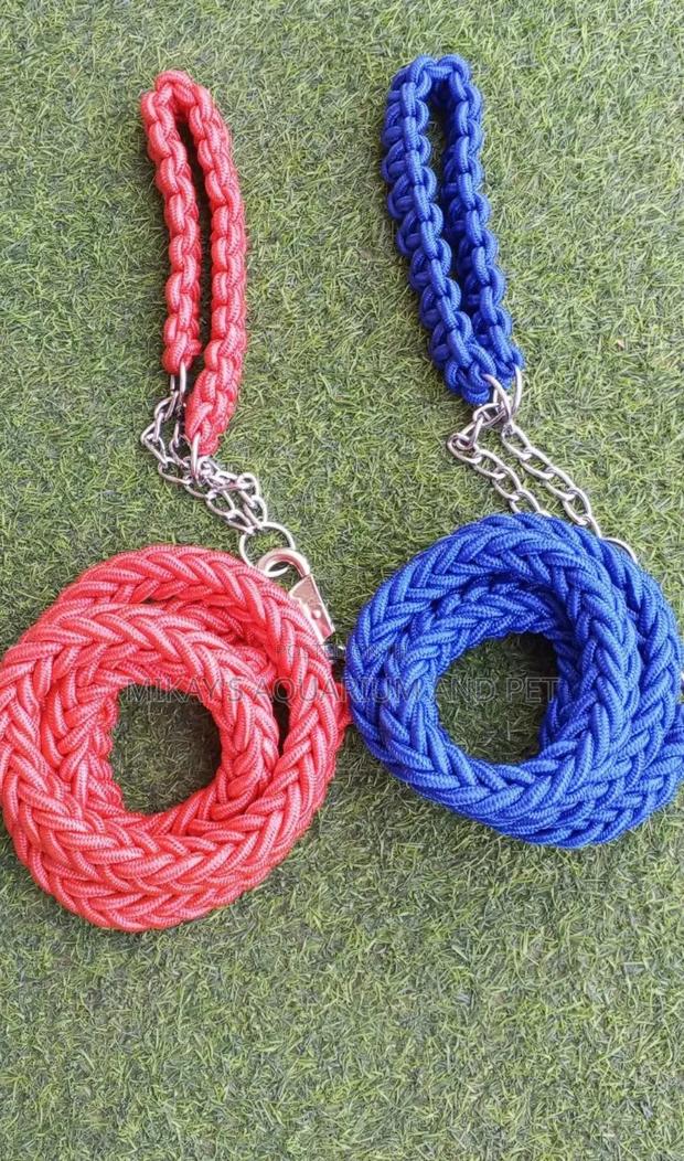 Leashes With Collars for Big Dogs · Photo 3