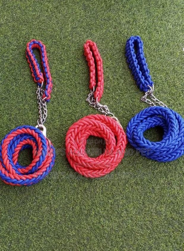 Leashes With Collars for Big Dogs · Photo 4