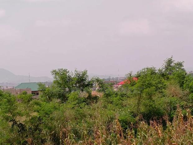 Acres of Farmland for Sale in Eastern Region · Photo 3