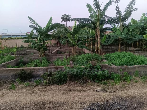 Land for Sale · Photo 4