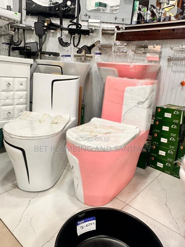 White and Pink Water Closet_combine Wc_soft Close Wc · Photo 2