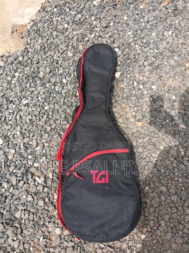 Telecaster Strat the Animal With a Padded Bag photo 8