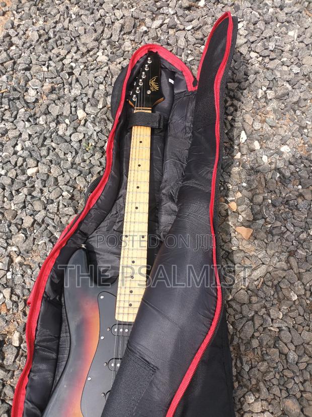 Telecaster Strat the Animal With a Padded Bag photo 9