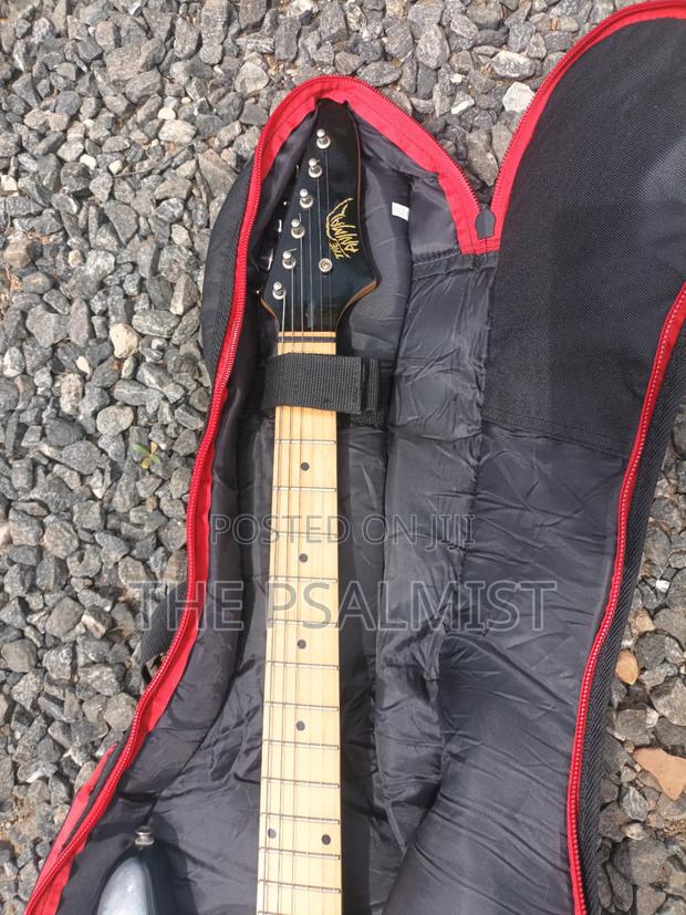 Telecaster Strat the Animal With a Padded Bag photo 10
