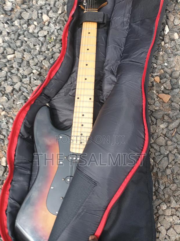Telecaster Strat the Animal With a Padded Bag photo 11