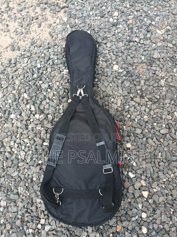 Telecaster Strat the Animal With a Padded Bag photo 12