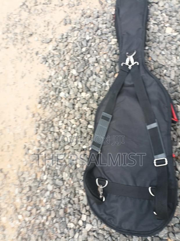 Telecaster Strat the Animal With a Padded Bag photo 13