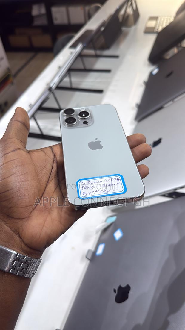 Apple iPhone 15 Pro Max 256 GB Gray