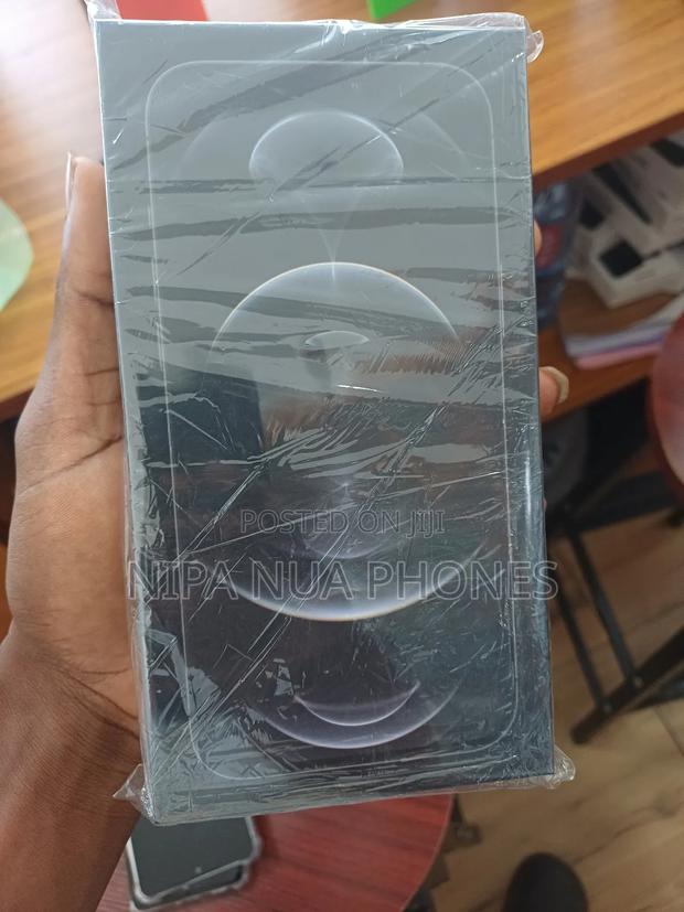 New Apple iPhone 12 Pro Max 256 GB Gray · Photo 4