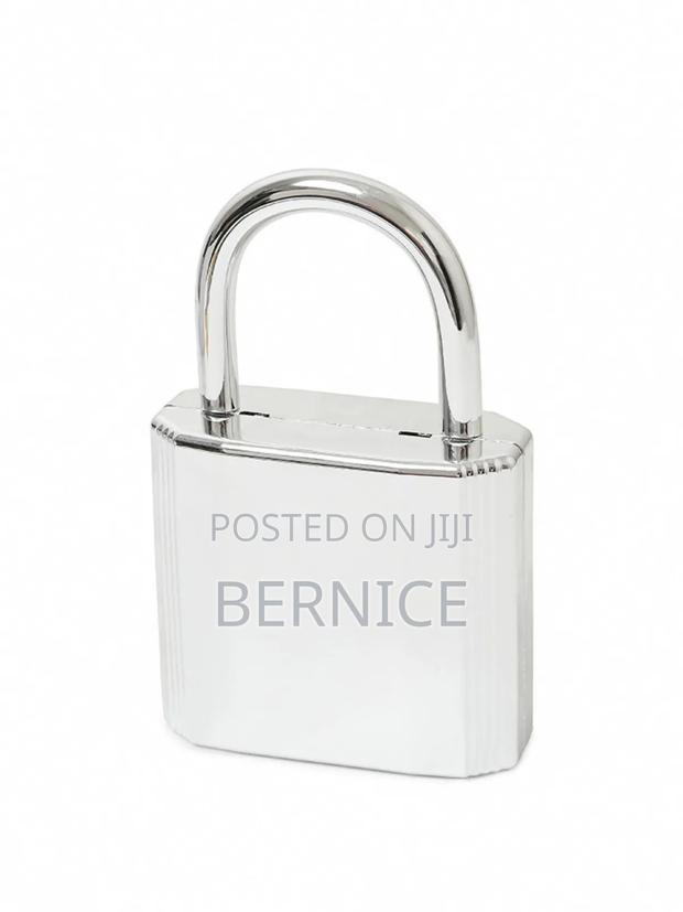 Luxury Gold and Silver Padlock Clutch – Unique Designer Style photo 2