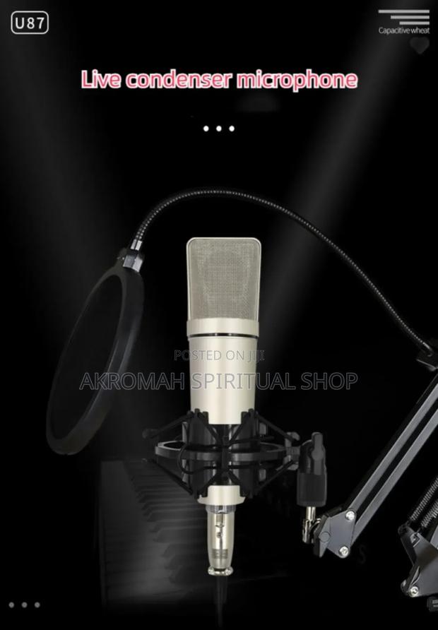 U87 Capsules Studio Sound Recording Condenser photo 6