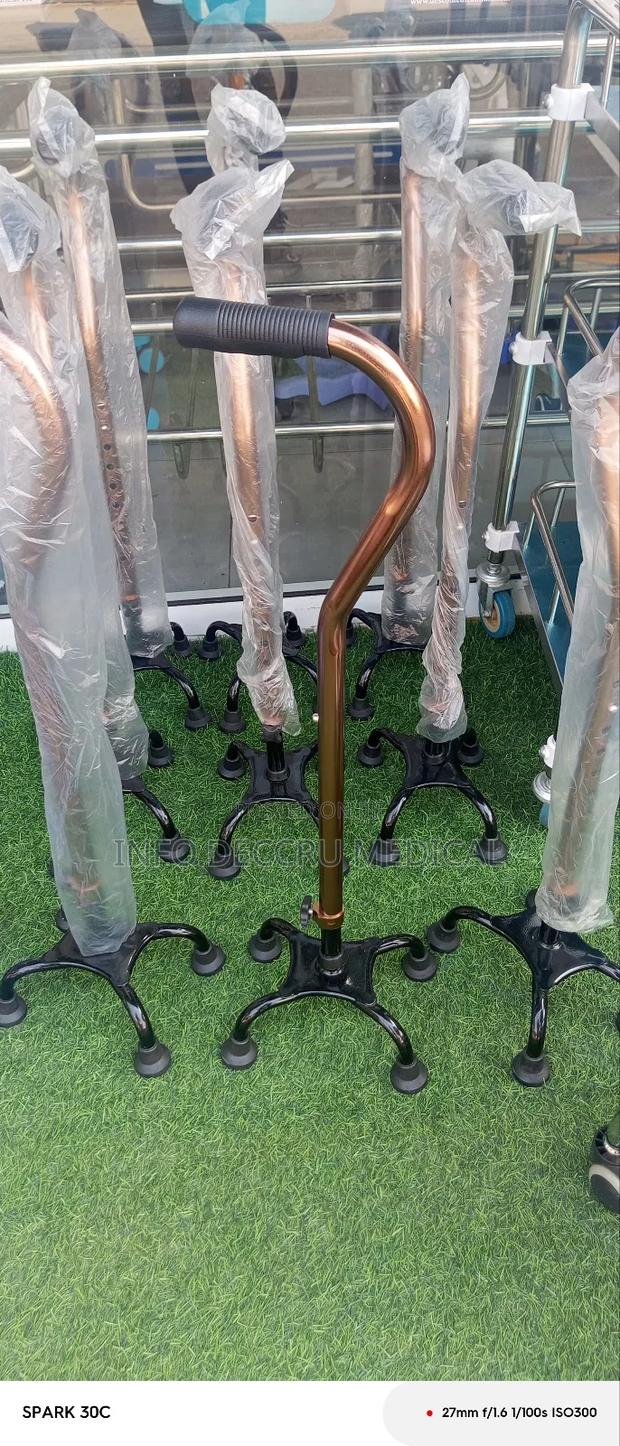 Quan Can or Four Legs Walking Stick · Photo 3