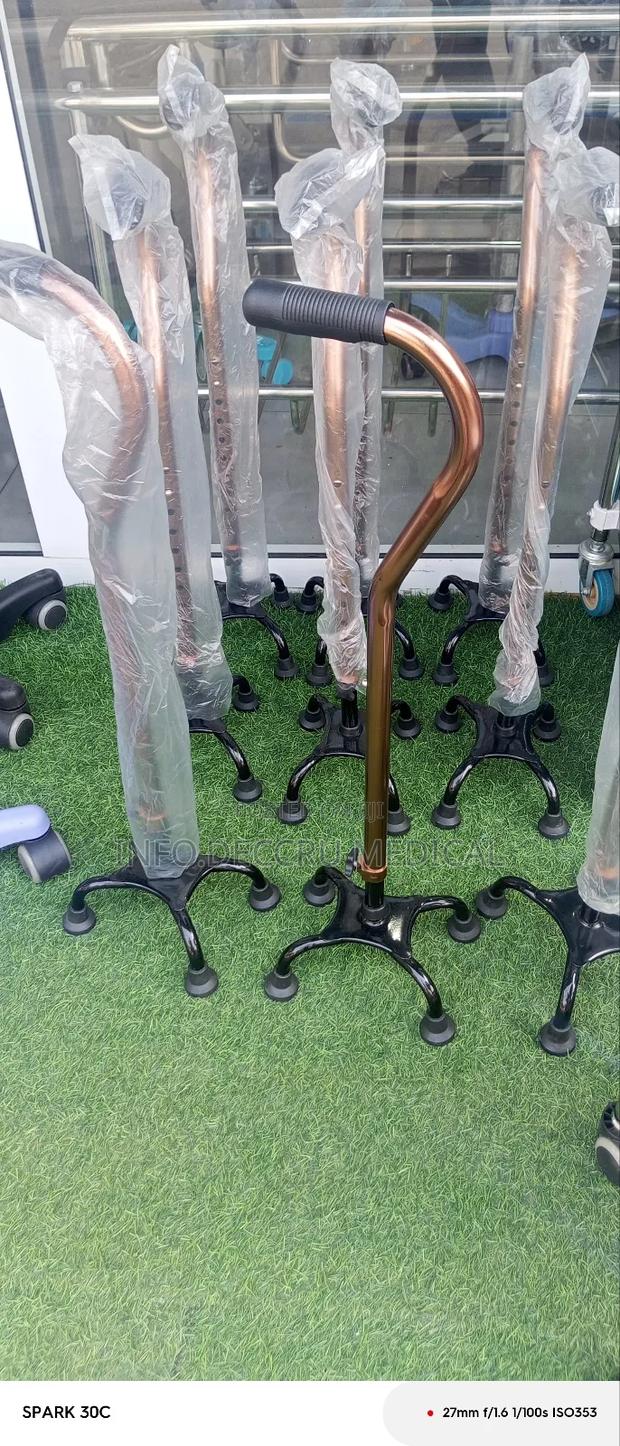 Quan Can or Four Legs Walking Stick · Photo 4
