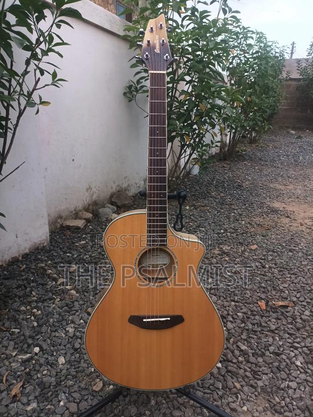 Breedlove Pursuit Ex Concert Ce My