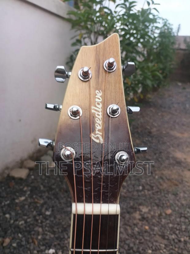 Breedlove Pursuit Ex Concert Ce My photo 3