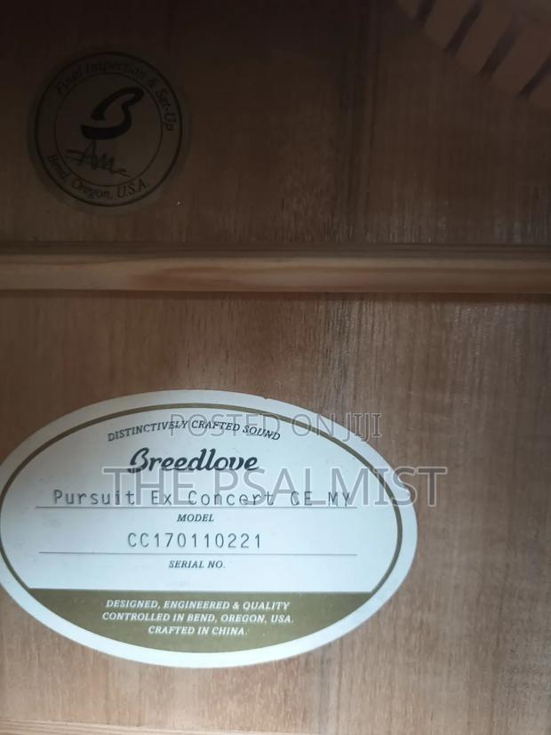 Breedlove Pursuit Ex Concert Ce My photo 4