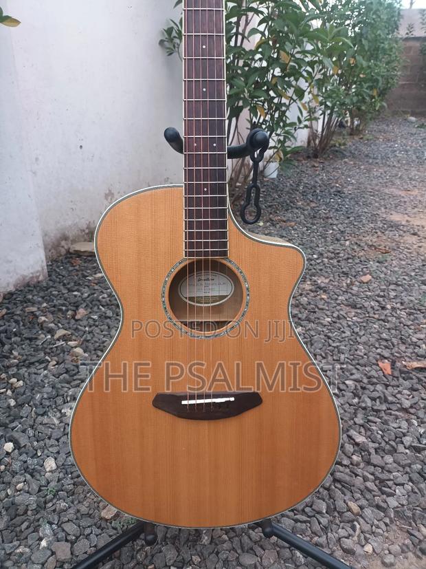 Breedlove Pursuit Ex Concert Ce My photo 5