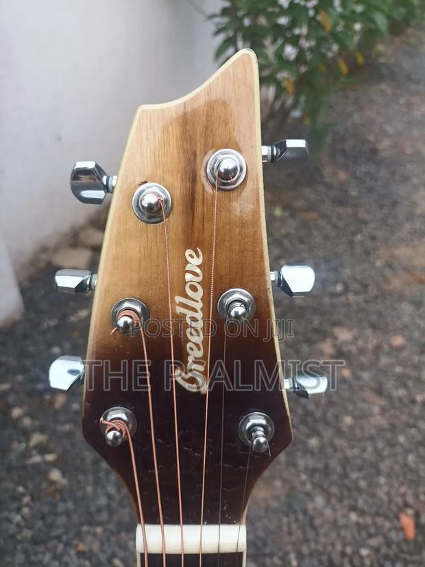 Breedlove Pursuit Ex Concert Ce My photo 6