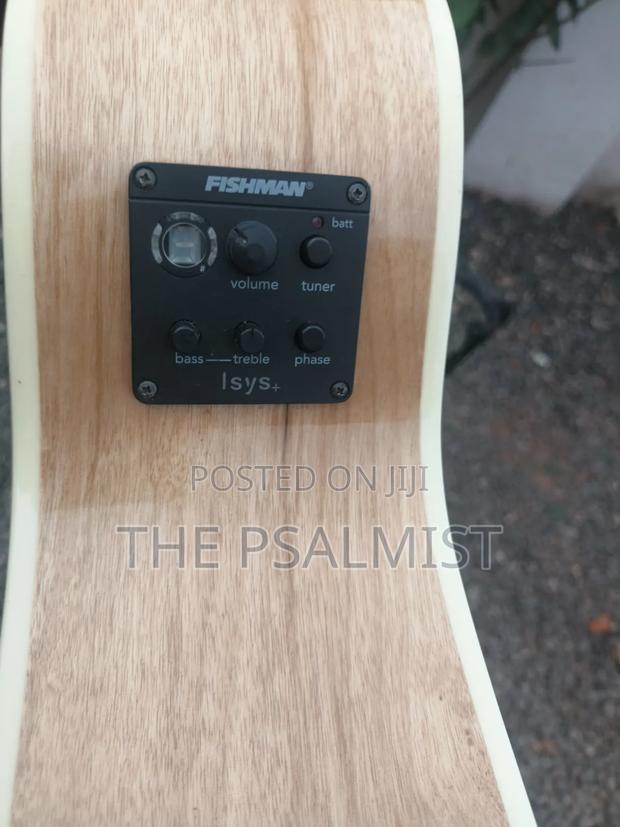 Breedlove Pursuit Ex Concert Ce My photo 9