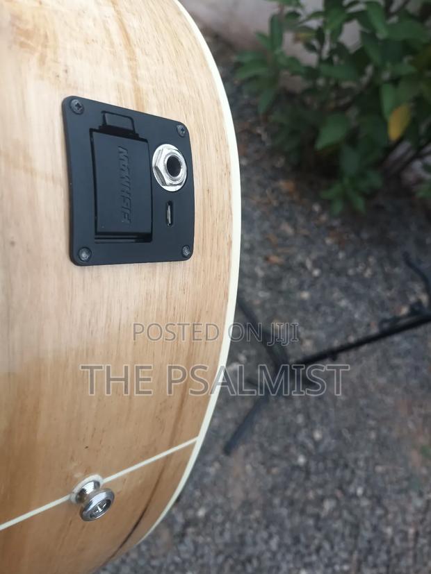 Breedlove Pursuit Ex Concert Ce My photo 10