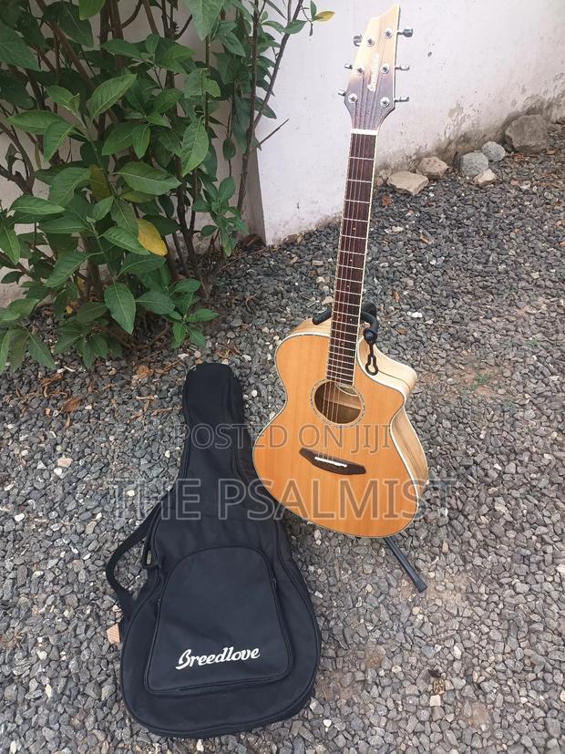 Breedlove Pursuit Ex Concert Ce My photo 11