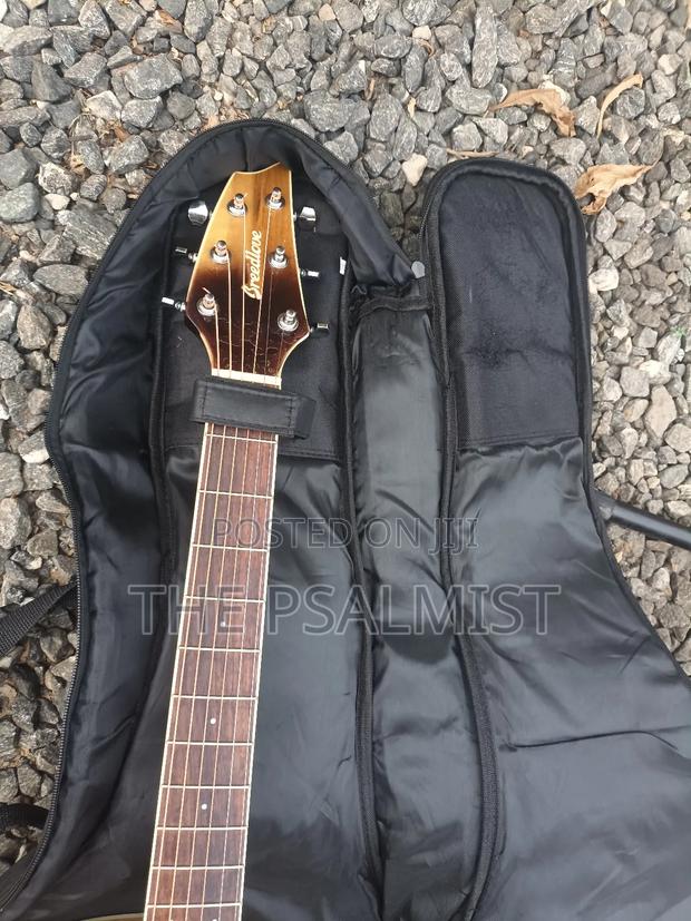 Breedlove Pursuit Ex Concert Ce My photo 14
