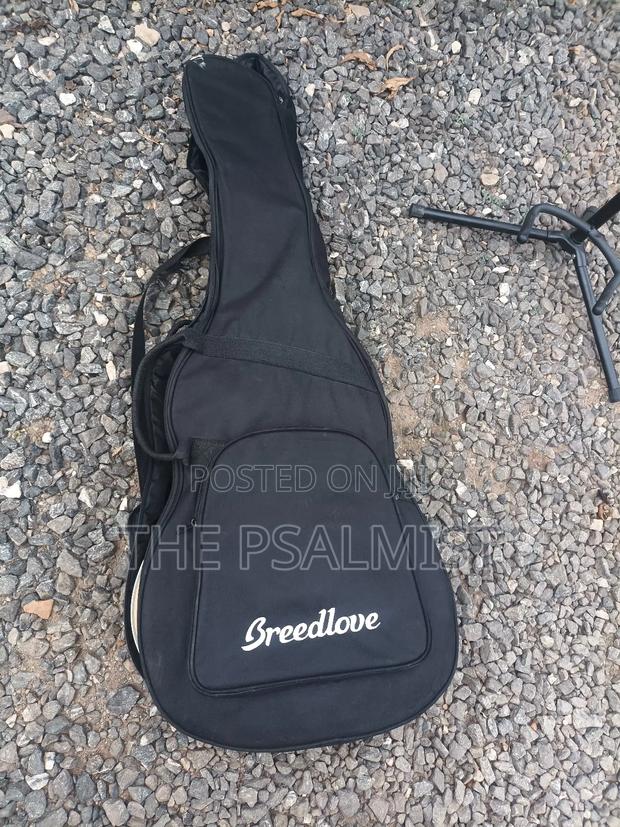 Breedlove Pursuit Ex Concert Ce My photo 15