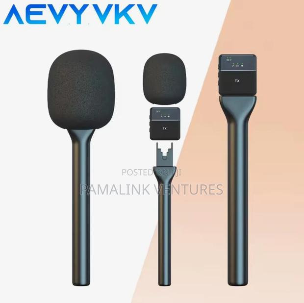 Wireless Microphone Handheld Stick photo 4