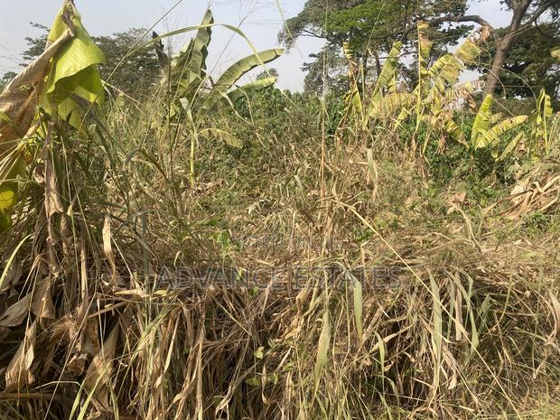 Land for Sale at Donyina, Tech · Photo 4