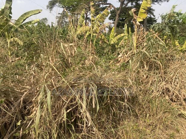 Land for Sale at Donyina, Tech · Photo 3
