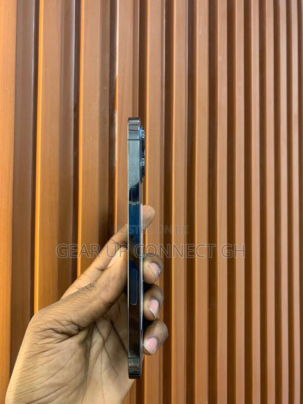 Apple iPhone 12 Pro Max 256 GB Gray photo 2