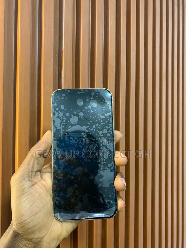 Apple iPhone 12 Pro Max 256 GB Gray photo 3