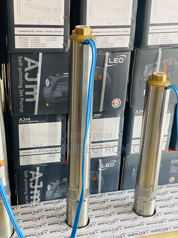 Leo 4xrm3/22-1.5 Borehole 2hp Pump · Photo 2