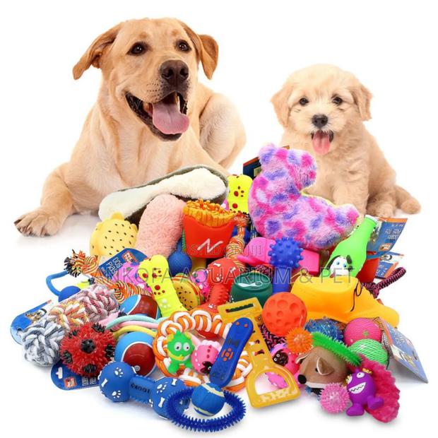 Quality Dog Play Toy · Photo 2
