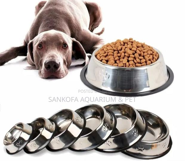 Quality Dog Bowl for All Types of Dogs · Photo 2