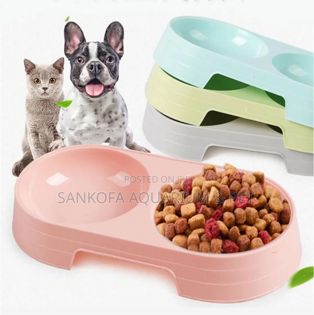 Quality 2 in 1 Pet Bowl · Photo 2