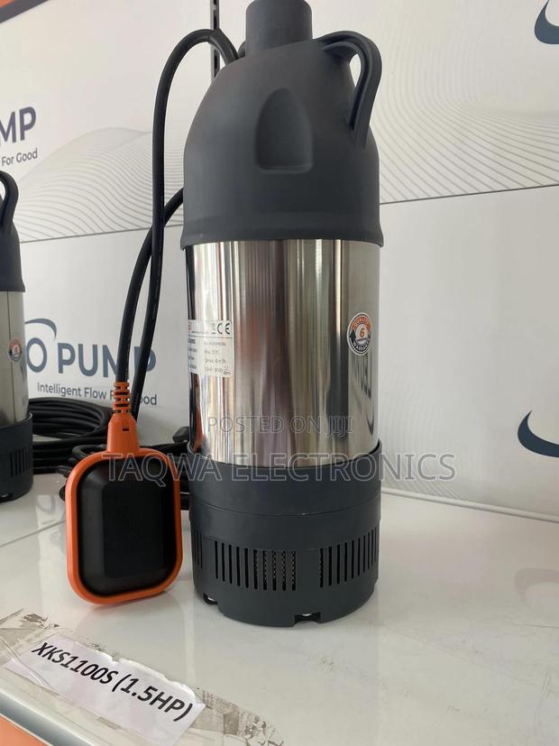 In Stock-Leo 1.5hp Submersible Pump · Photo 2