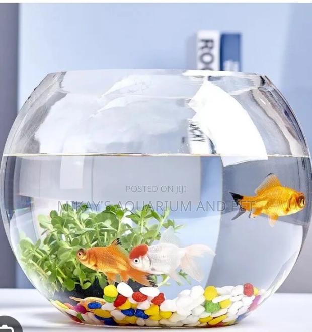 Packaged Aquarium · Photo 2