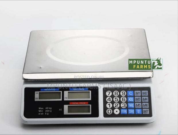 Digital Pricing Scale
