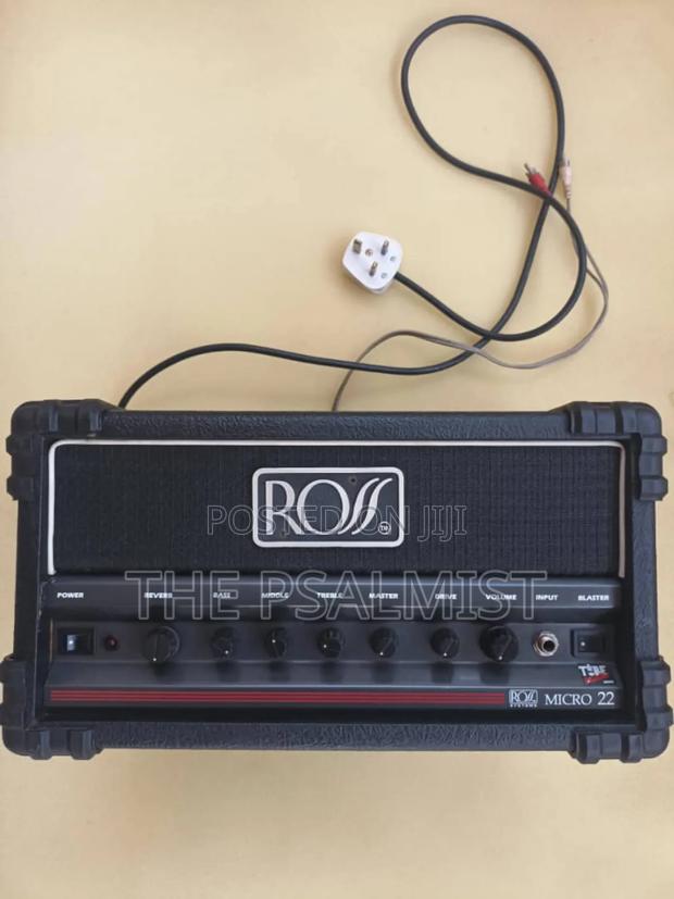 Ross Micro 22 Blaster Amp photo 2